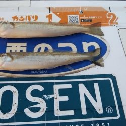 ラスト播磨新島釣行