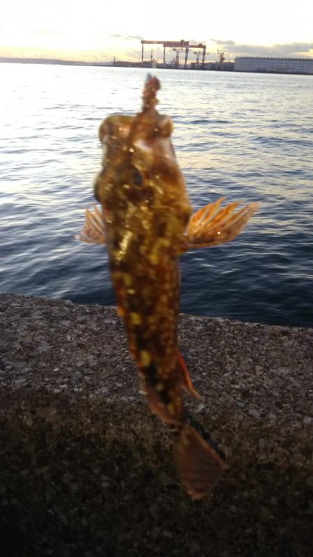 八景島でのんびり小物五目釣り！