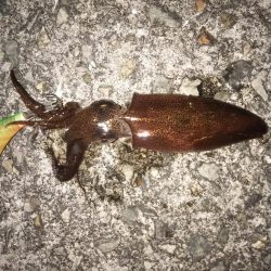 爆風ライトゲーム