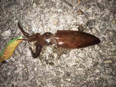 爆風ライトゲーム