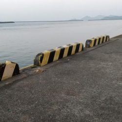 スズキゲット！！