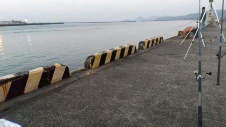 スズキゲット！！