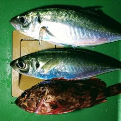 上げ始めのボトムで