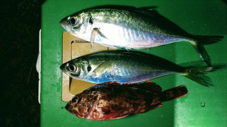 上げ始めのボトムで