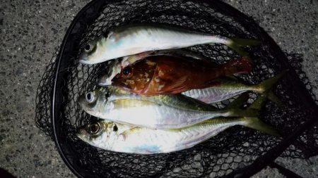 超スローリトリーブ