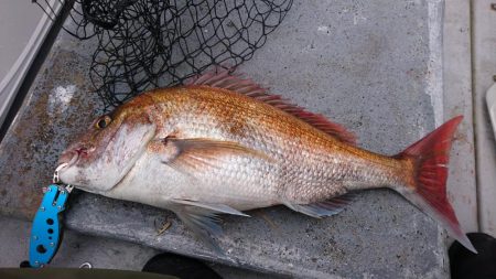 ジギング船内竿頭ゲット