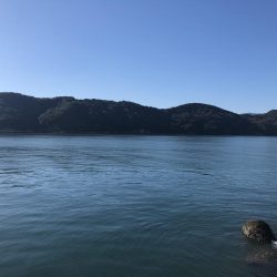 えっ、地震?速やかに帰宅しましょう。