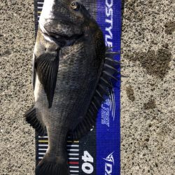 イチノ兄弟、釣果！