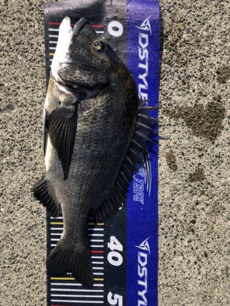 イチノ兄弟、釣果！