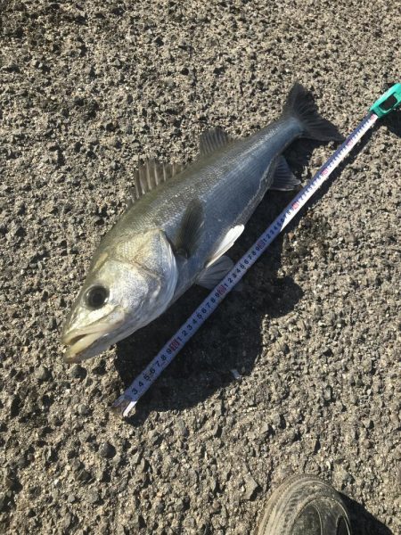 竿納めできます^_^