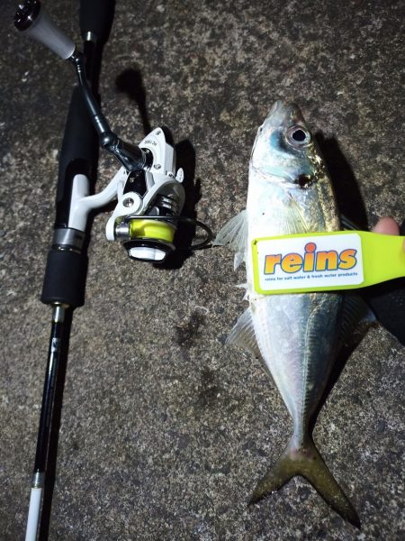 2021/12/8 南港アジング釣行