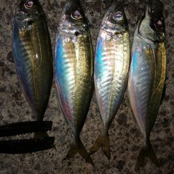 たまにはこんな日も