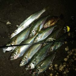 (尺アジ)フロートゲーム