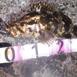 ３０オーバーベッコウ！！