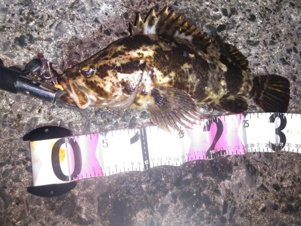 ３０オーバーベッコウ！！