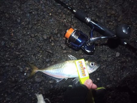 2021/12/18 南港アジング釣行~暴風アジング