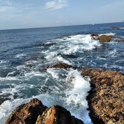 フカセ‥最高ですネ・・