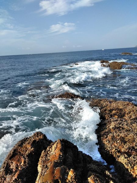 フカセ‥最高ですネ・・