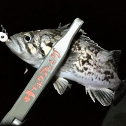 青森の冬といえば