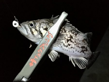 青森の冬といえば