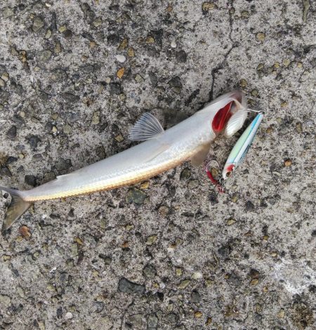 なんでやねん！