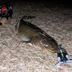 行けばわかるさ