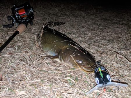 行けばわかるさ