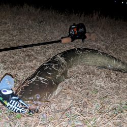 クリスマス目前