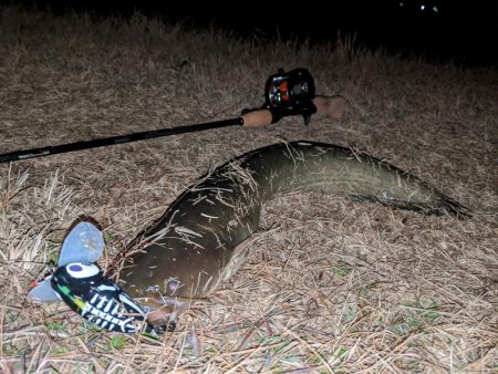 クリスマス目前