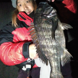 居着きチヌを狙って