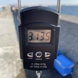 念願のメジロゲット!