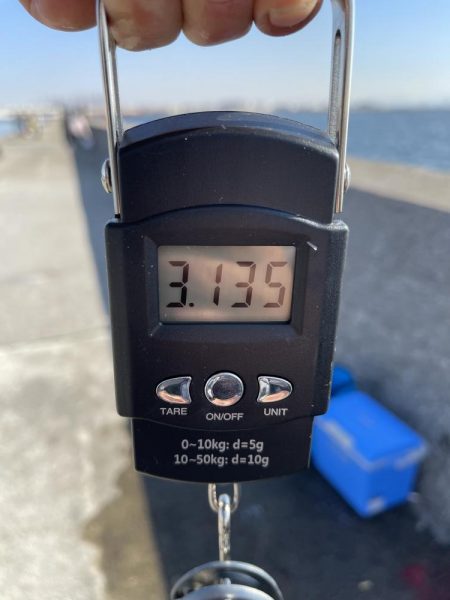 念願のメジロゲット!