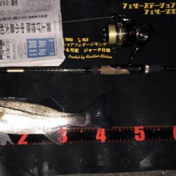 ががっときました。