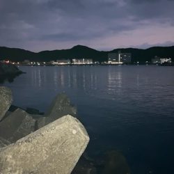 んー、しぶしぶやー