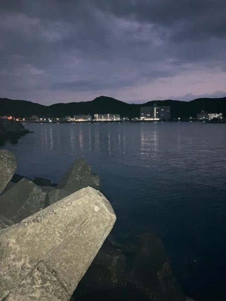 んー、しぶしぶやー