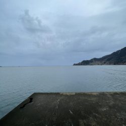 朝マヅメショアジギング