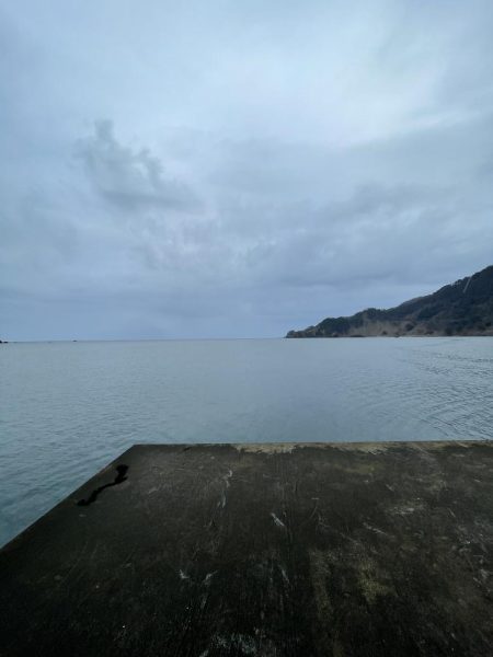 朝マヅメショアジギング