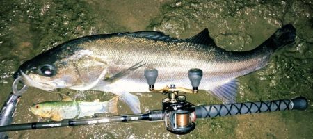 ドブテク練習中