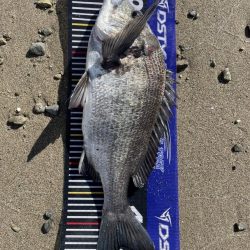 イチノ兄弟、釣果！