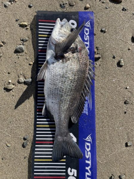 イチノ兄弟、釣果！