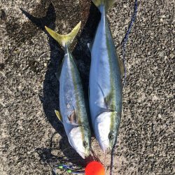 えっ、地震?速やかに帰宅しましょう。