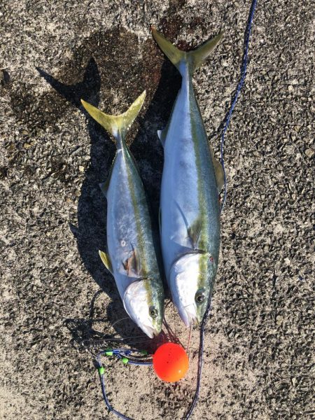 えっ、地震？速やかに帰宅しましょう。