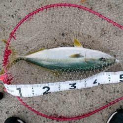 早朝から・・・