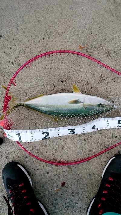 早朝から・・・