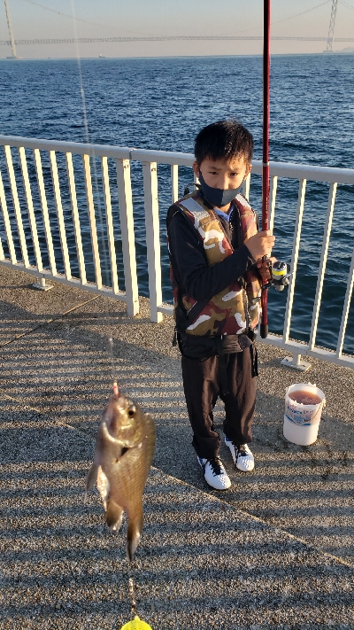 タチウオ釣りたかった!