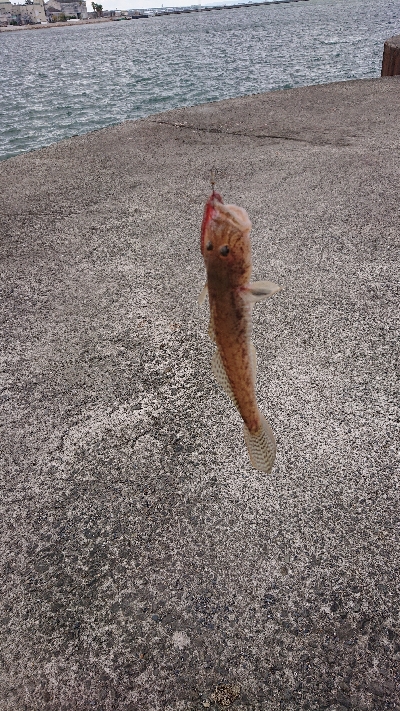 爆風の中・・・