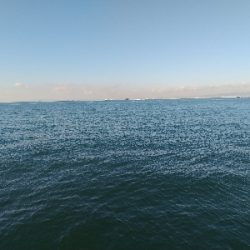 すいません…ESOっす