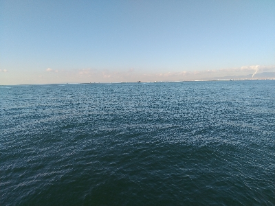 すいません…ESOっす