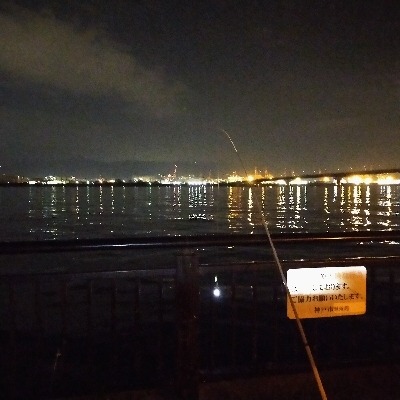 大サバ不発、代わりにデカアナゴ