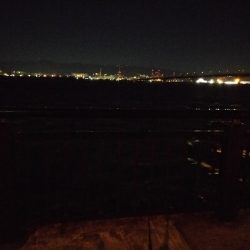 狙い通り　デカアナゴ